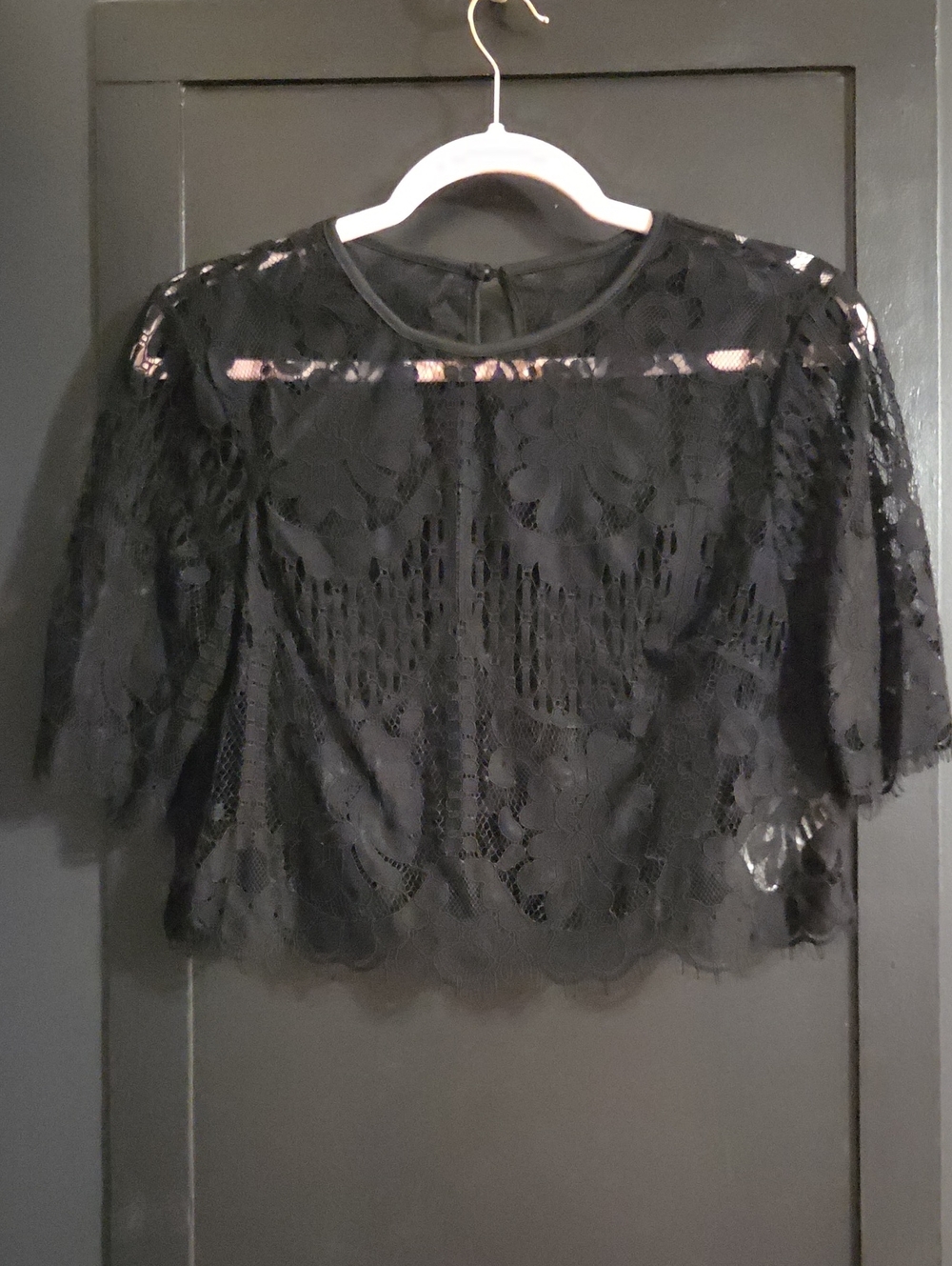 Black Sheer Lace Crop Top